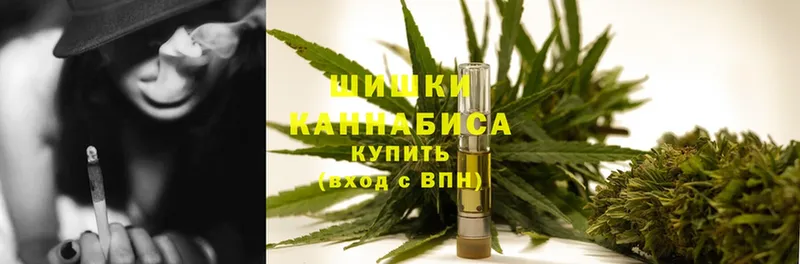 блэк спрут как войти  купить   Пошехонье  Шишки марихуана марихуана 